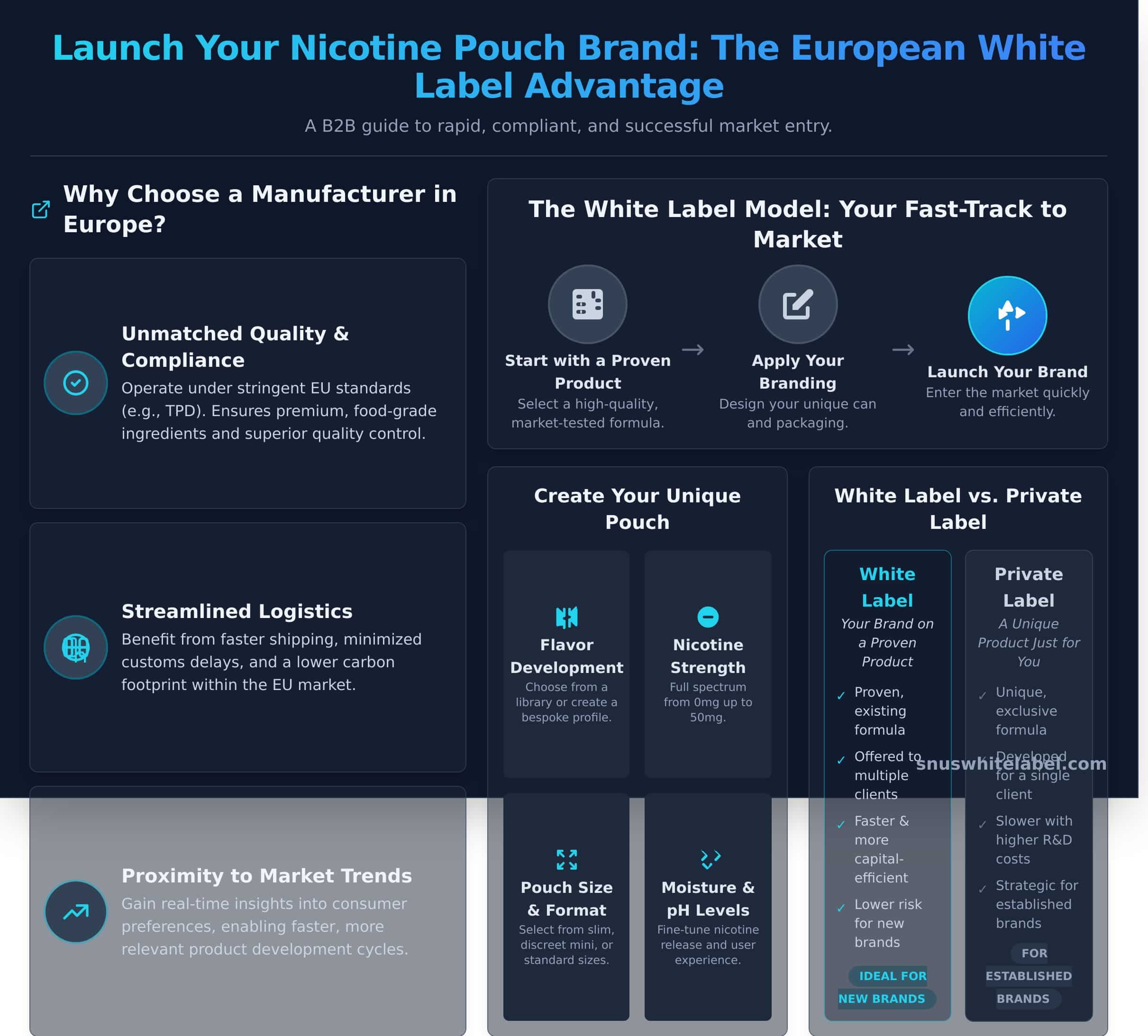 Nicotine Pouch Manufacturer Europe: A Complete B2B Guide - Infographic