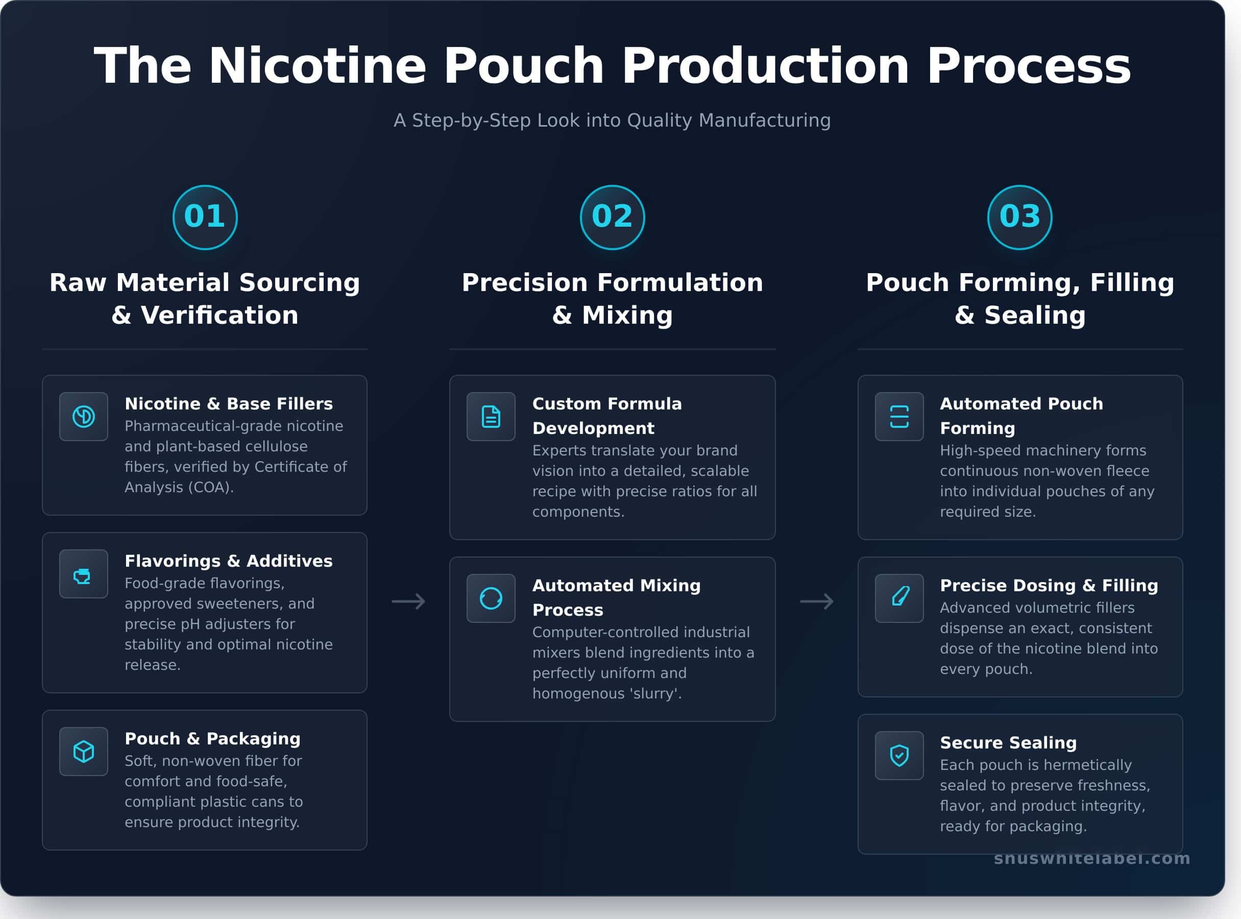 The Nicotine Pouch Production Process: A Manufacturer’s Guide - Infographic